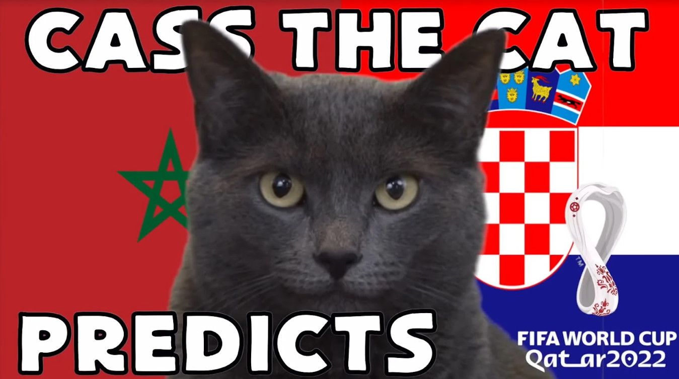 NEW88 Cùng Mèo Tiên Tri Dự Đoán Kết Quả Maroc VS Croatia Tại World Cup 2022