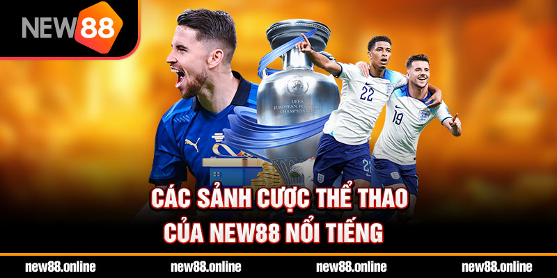 Các sảnh cược thể thao của NEW88 nổi tiếng